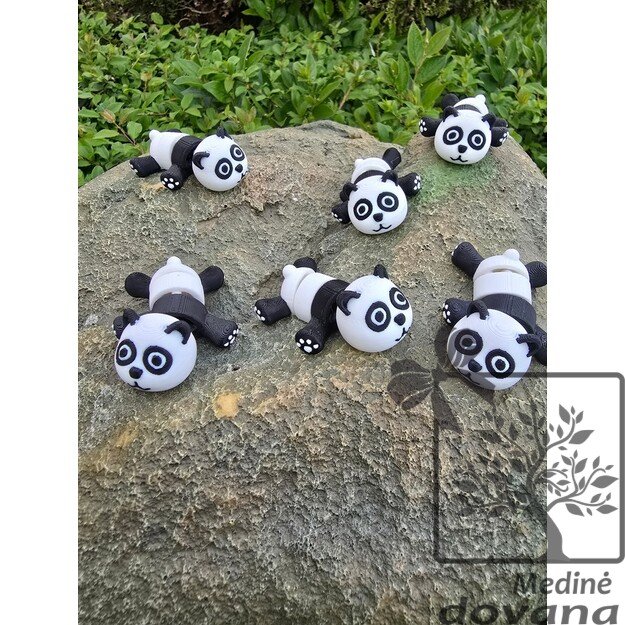 PANDA – Vinguriukas