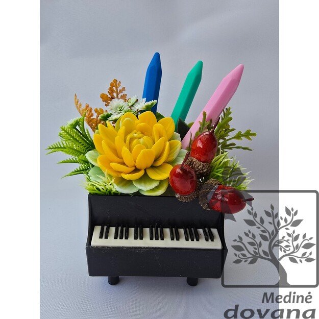 Muilo kompozicija "pianine"