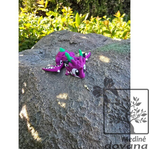 Dragon Fruit DRAGON – Vinguriukas