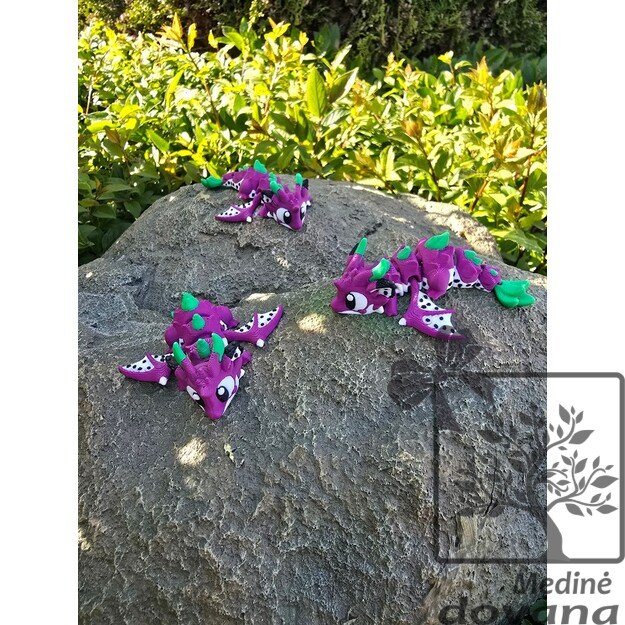 Dragon Fruit DRAGON – Vinguriukas