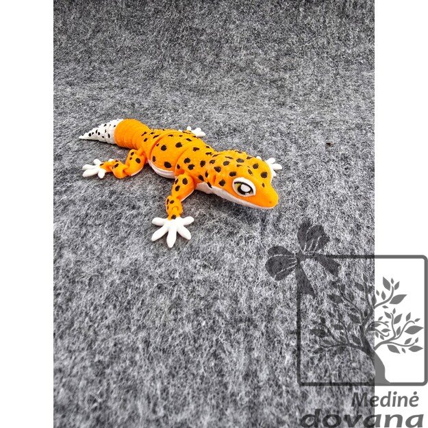 Žavusis Leopardinis GEKONAS – Vinguriukas