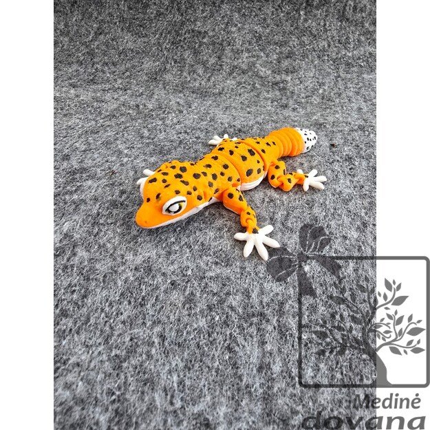 Žavusis Leopardinis GEKONAS – Vinguriukas