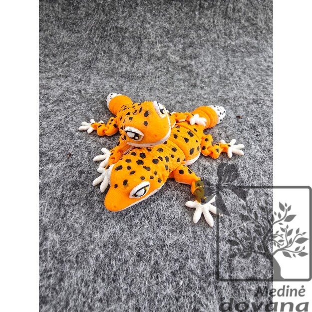 Žavusis Leopardinis GEKONAS – Vinguriukas