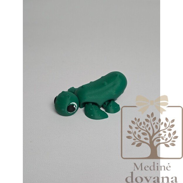 Agurkinis Vėžliukas – lankstus 3D spausdintas žaisliukas vaikams
