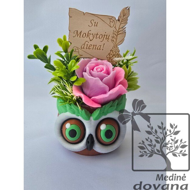 Pelėdos vazonėlis su muilo gėle 8