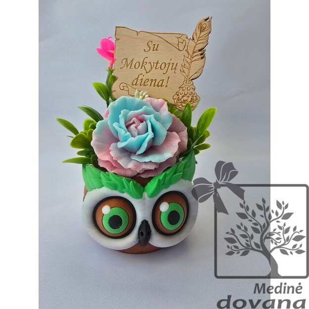 Pelėdos vazonėlis su muilo gėle 6