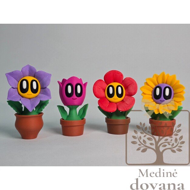 Žydinčių Draugų Kolekcija – 3D spausdintos dekoratyvinės gėlės su veidukais