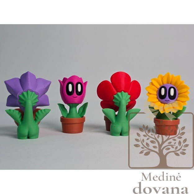 Žydinčių Draugų Kolekcija – 3D spausdintos dekoratyvinės gėlės su veidukais