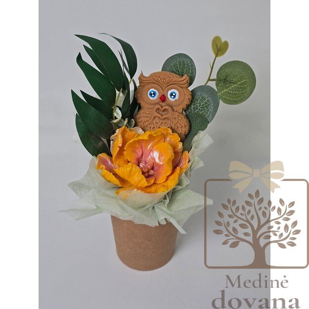 Muilo gėlės puokštelė "Pelėdžiukas"