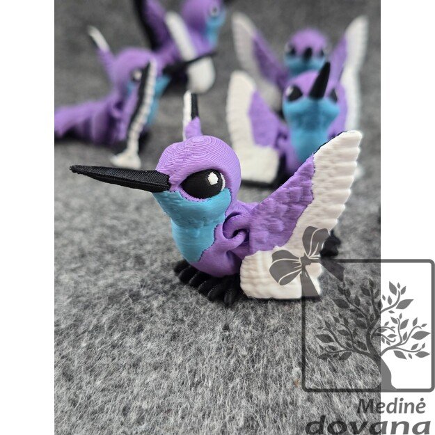 Spalvotasis KOLIBRIS – Vinguriukas
