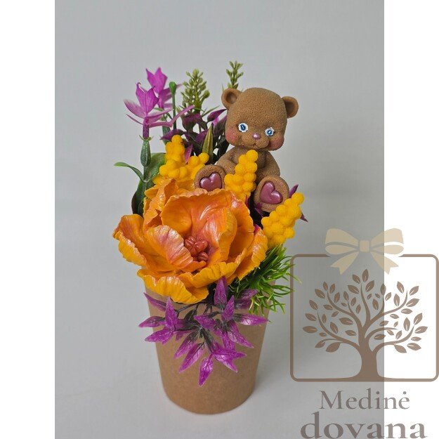 Mini dovana su meškiuku – miela staigmena