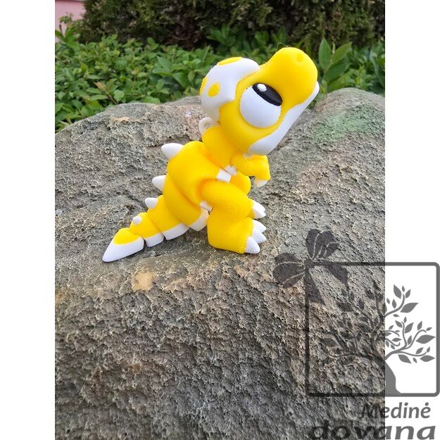 ŽAISMINGAS DINOZAURIUKAS – Vinguriukas