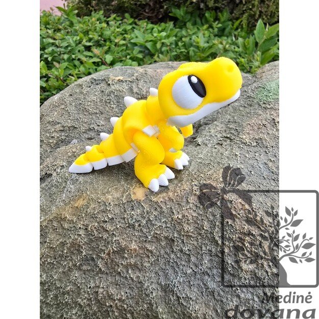 ŽAISMINGAS DINOZAURIUKAS – Vinguriukas