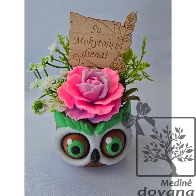 Pelėdos vazonėlis su muilo gėle 7