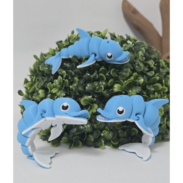 Judantis 3D delfinas „Bangius“