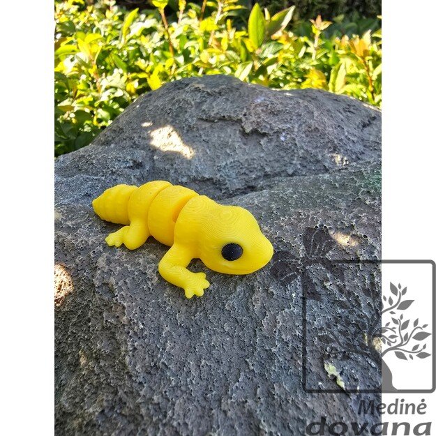 GEKONAS – Vinguriukas